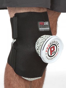 ProSeries Ice Packs